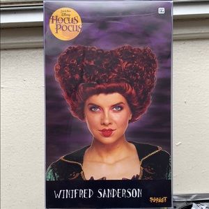 Hocus Pocus Winnifred Sanderson Costume
